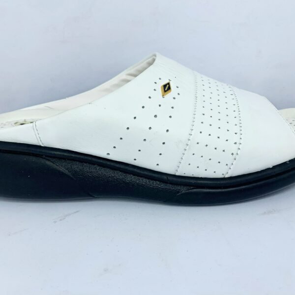 CHAUSSURE CANARD